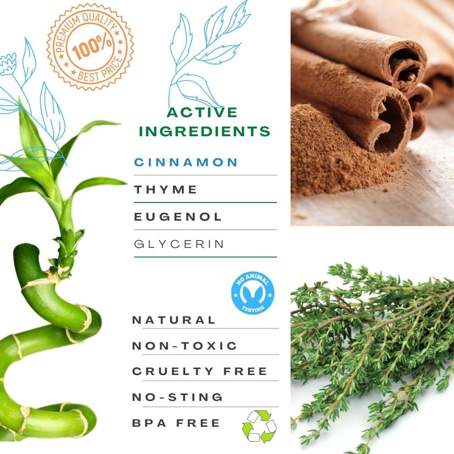 Image showcasing Natural Flea Treatment for Dogs and Cats-Non-toxic | Petglow