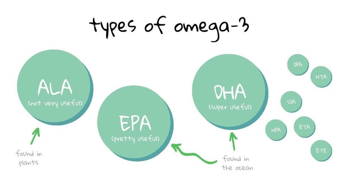 What Are Omega 3 Fatty Acids