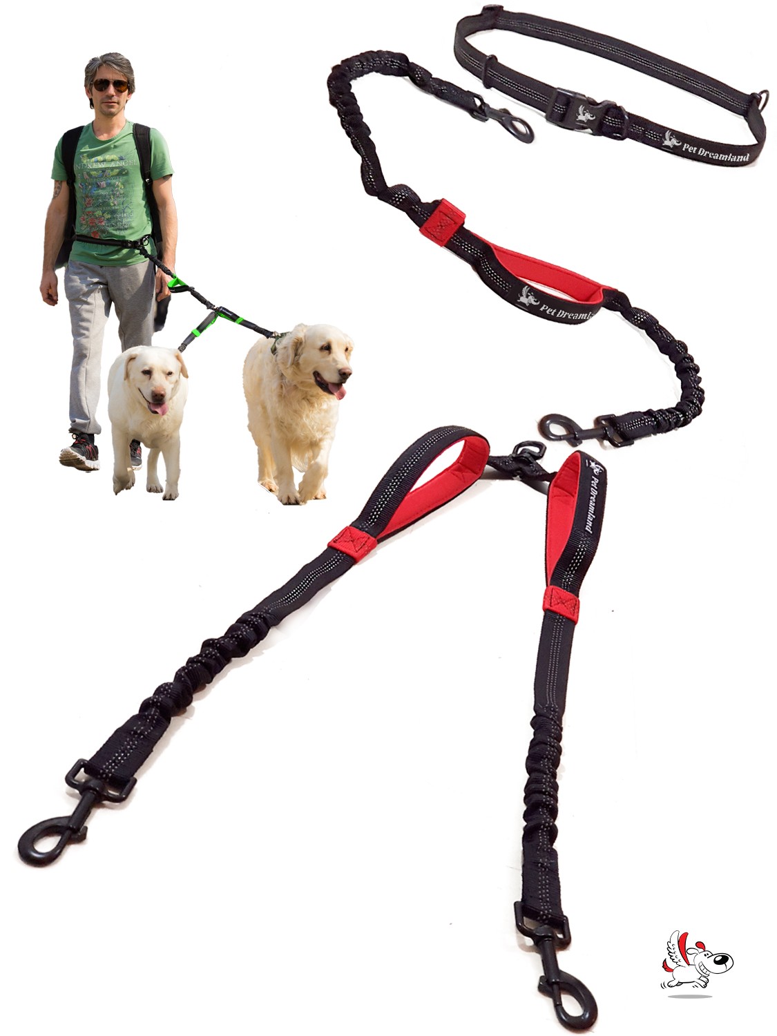 Double Dog Leash Hands Free