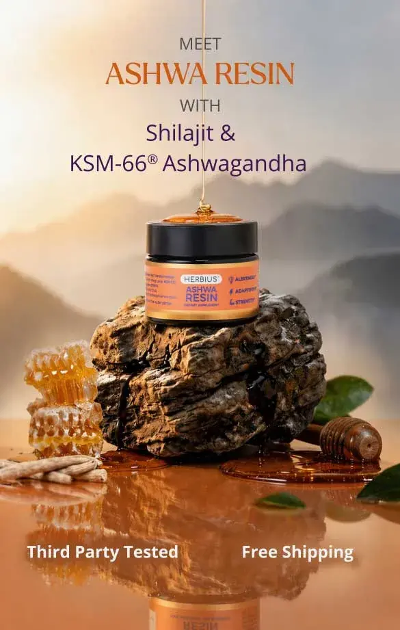 Meet Ashwa Resin – Shilajit & KSM-66 Ashwagandha