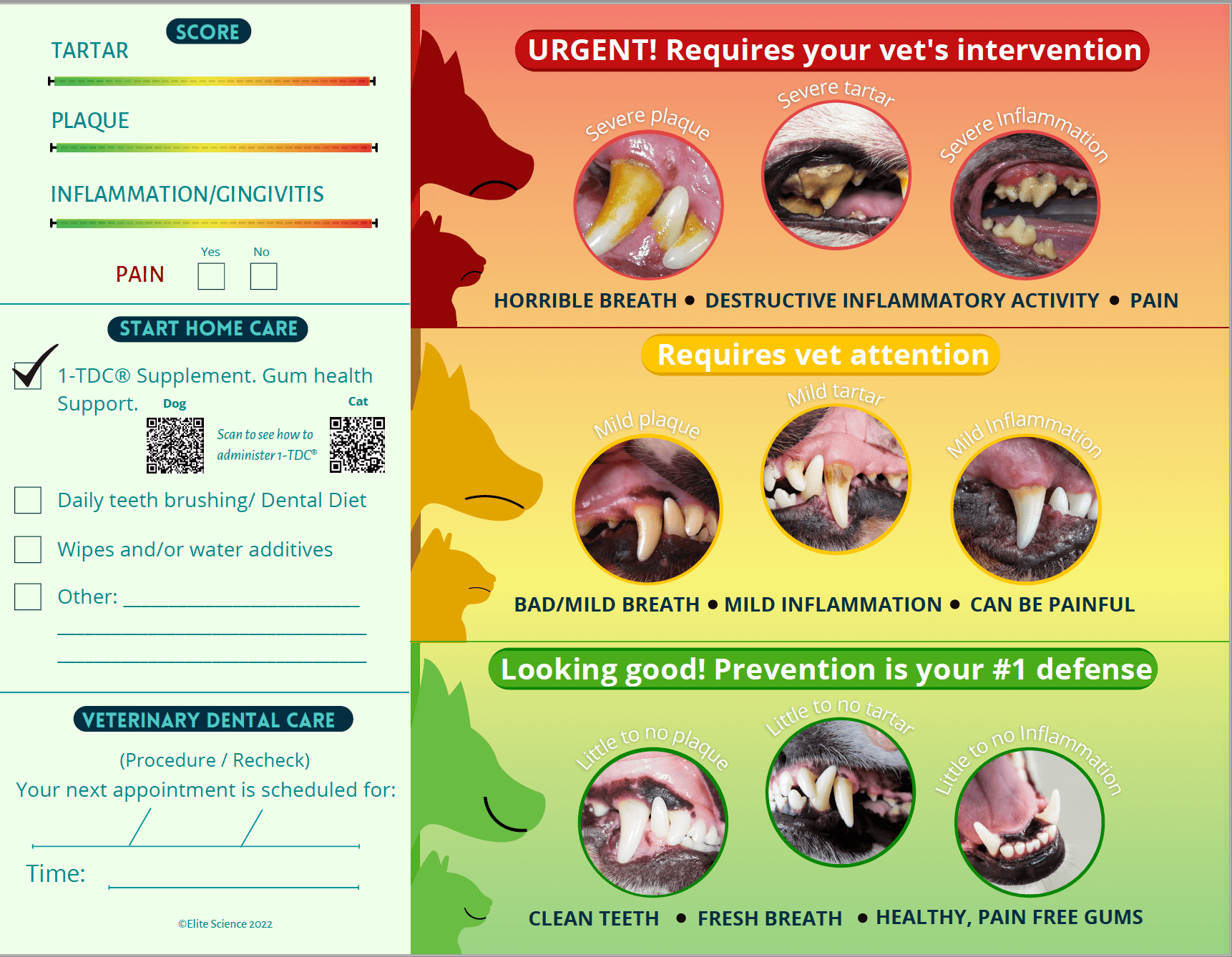 Dental Report card thank you page