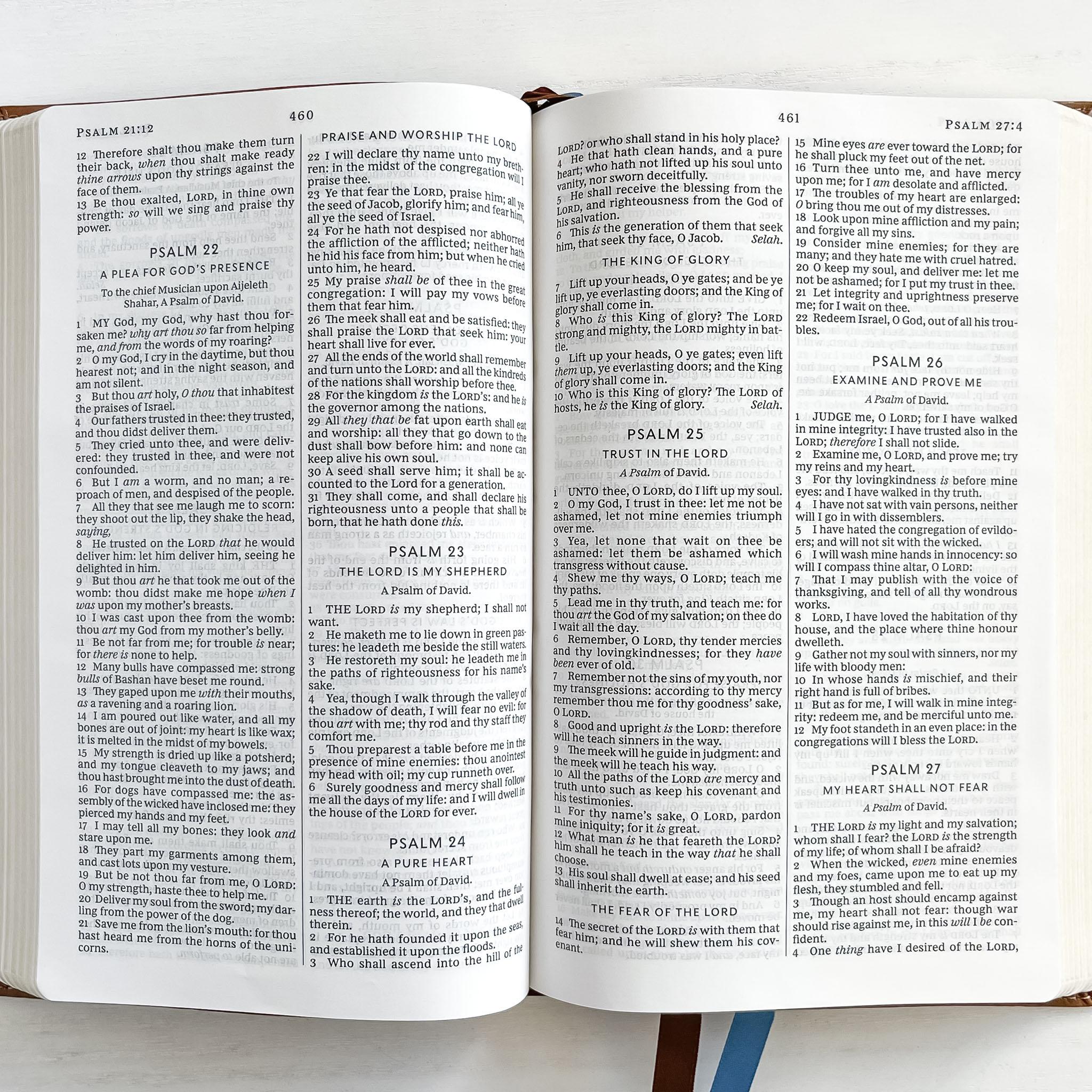 KJV Brown Lion Bible Inside