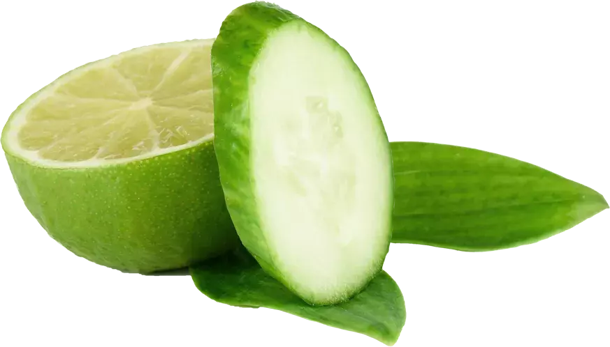 Lemon & Cucumber Juice