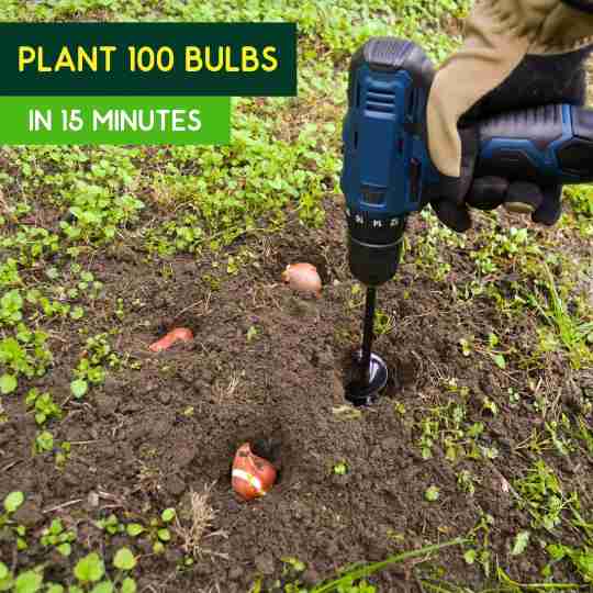 You can plant at least 100 bulbs in 15 minutes with the drill&plant mini