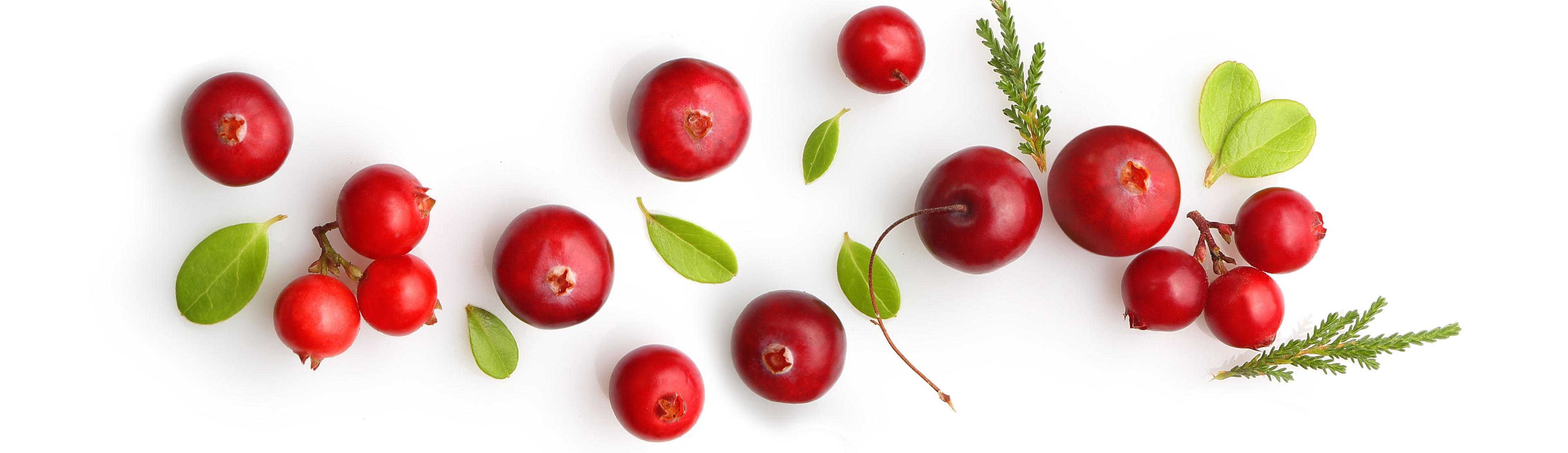 Cranberries with some green leaves laid out neatly on white background