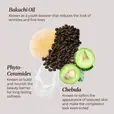 Bakuchi Oil - Youth-boosting ingredient that helps to reduce the look of wrinkles and fine lines | Phyto-Ceramides : Builds and nourishes the beauty barrier for long-lasting softness | Chebula - Softens the appearance of textured skin and makes the skin more even-toned.