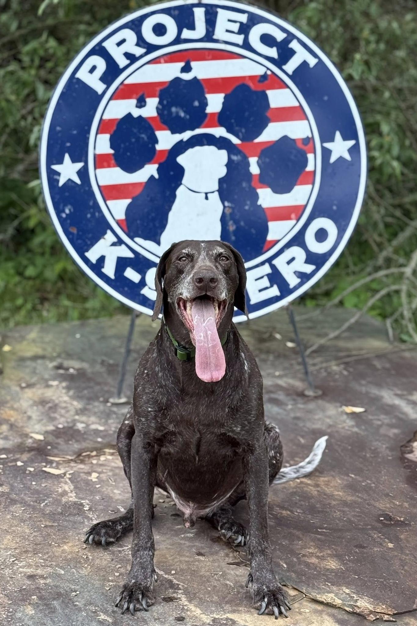 k9 chico in uniform