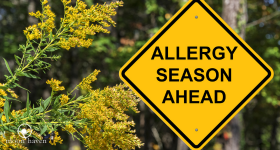 Hayfever, Allergies and More