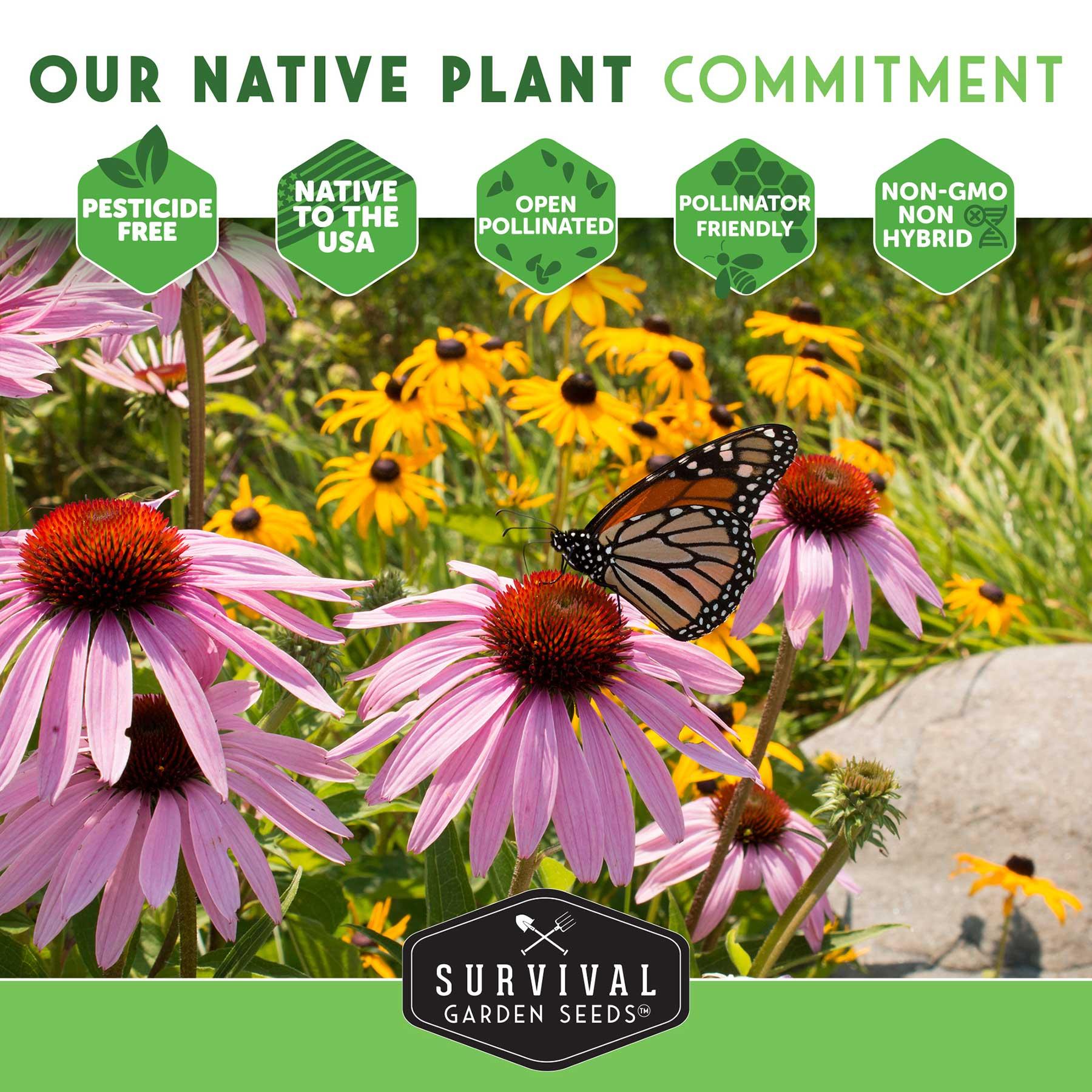 Our native plant commitment to you