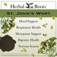 St John's wort flowers and a pile of powder. Herbal Roots logo and text that says "St John's Wort - Mood Support, Respiratory Health, Menopause Support, Digestive Health, Nervous System"