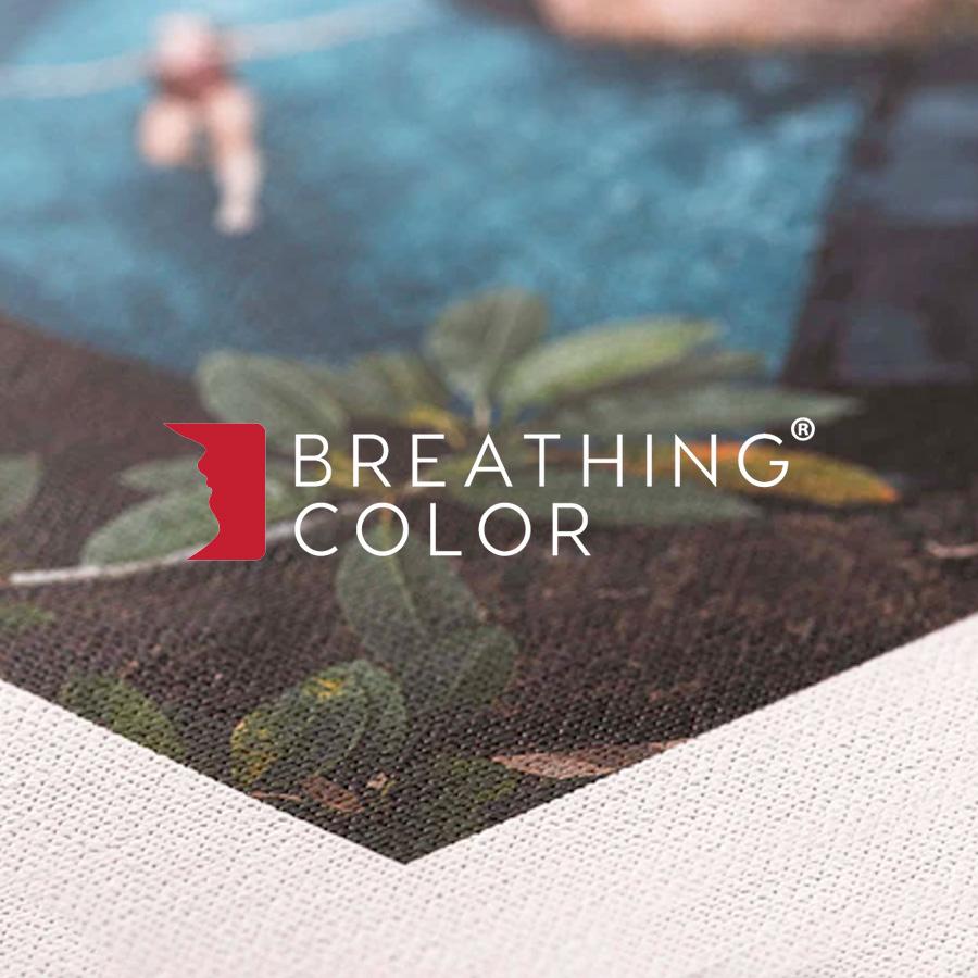 Breathing Color Logo