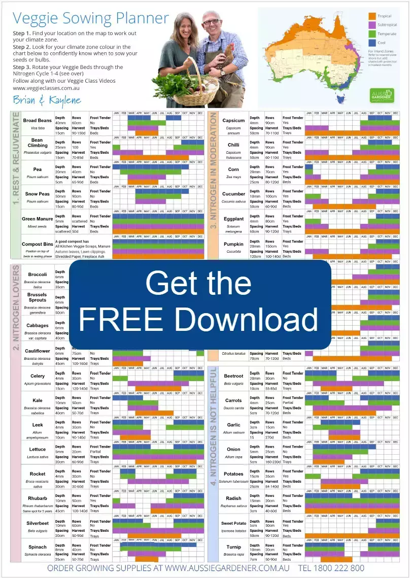Promotional infographic titled “Veggie Sowing Planner” featuring Brian and Kaylene holding a basket of vegetables, an Australian climate zone map, and detailed month-by-month sowing charts for many vegetables. A large blue button reads “Get the FREE Download” with a red arrow pointing to the charts. Aussie Gardener branding appears, promoting a free downloadable vegetable planting guide for Australian climates.