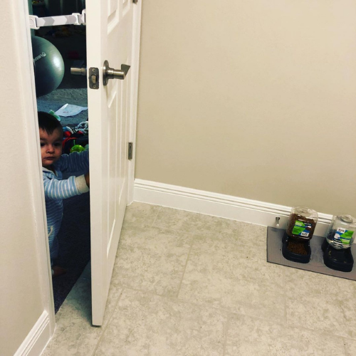 The Door Buddy - Blog - Toddler Proof Litterbox