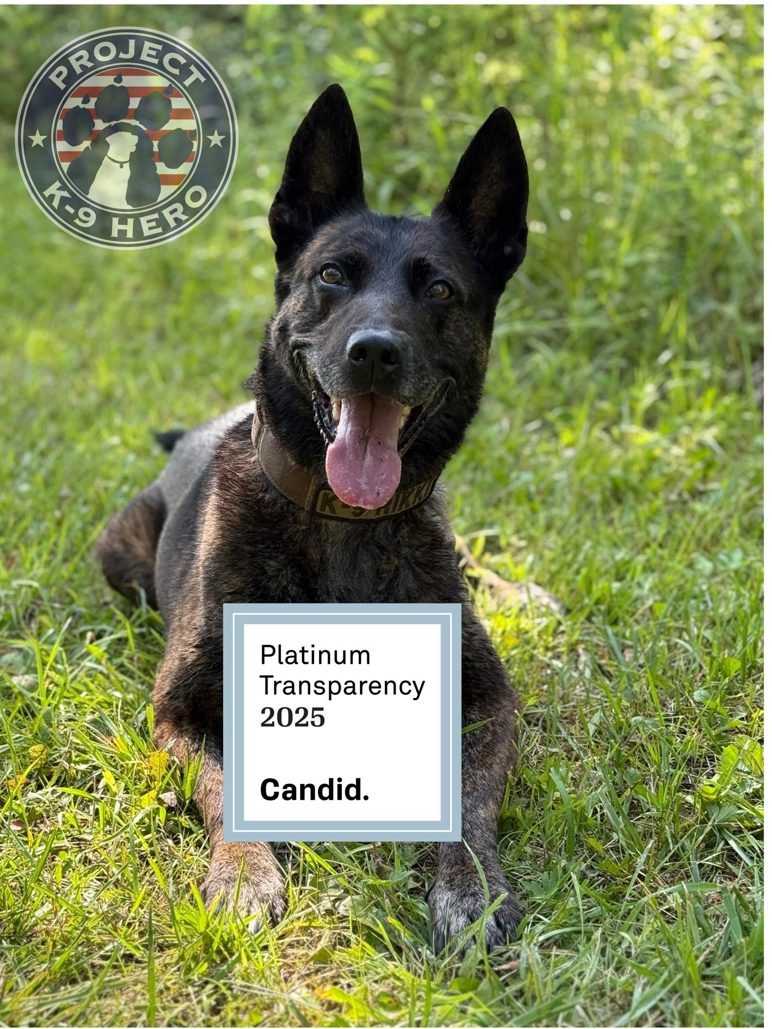 rikki with the 2025 seal of transparency