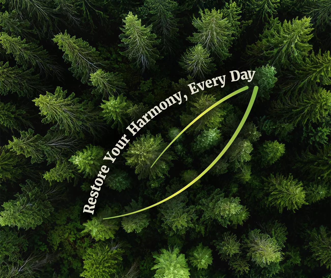 Restore your Harmony everyday