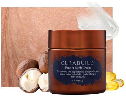 Cerabuild Face and Neck Cream