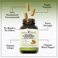 Bottle of Herbal Roots Organic with three pills spilling out of the top of the bottle. There are several lines pointing to the bottle and the capsules. The lines say 95% standardized curcuminoids, Vegan Capsules, extra strength, No Binders or fillers, black pepper promotes absorption and organic ginger.