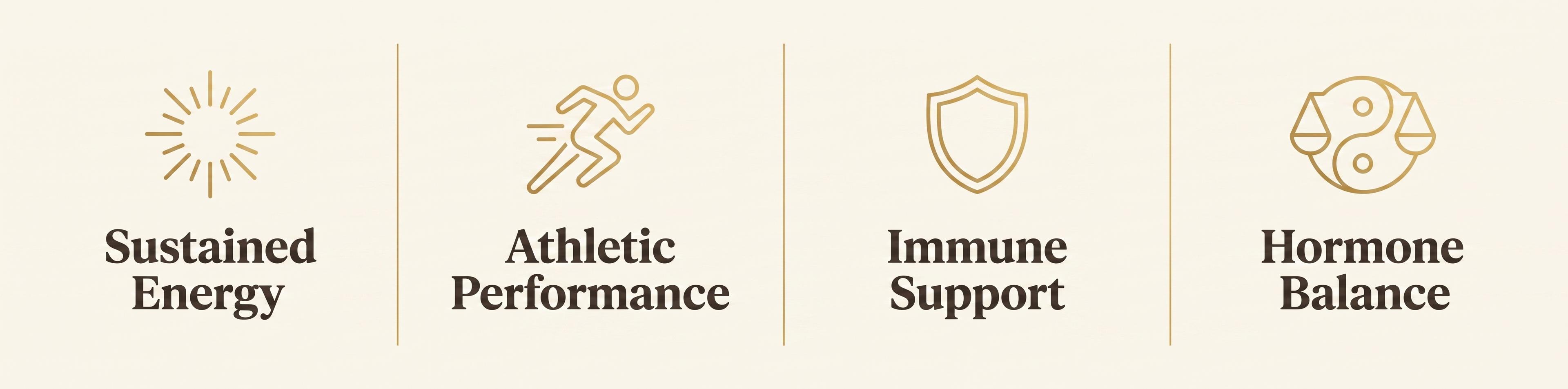 Cordyceps Benefits at a glance