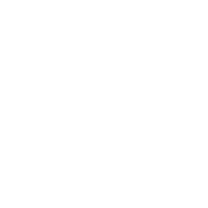 Chemistry flask icon with bubbles, crossed out inside a circle to indicate the absence of synthetic additives.