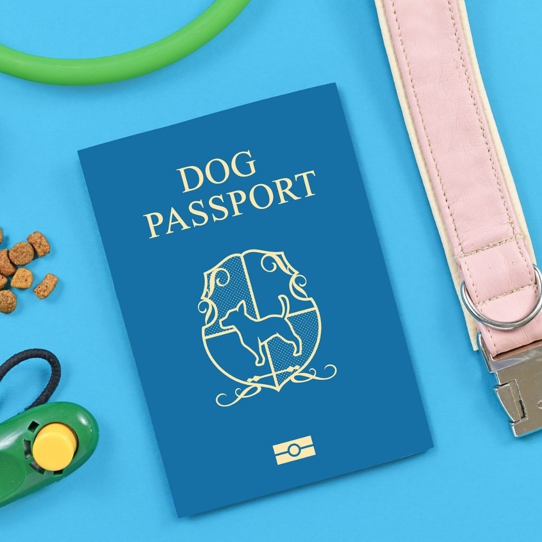 Artist rendition of blue dog passport