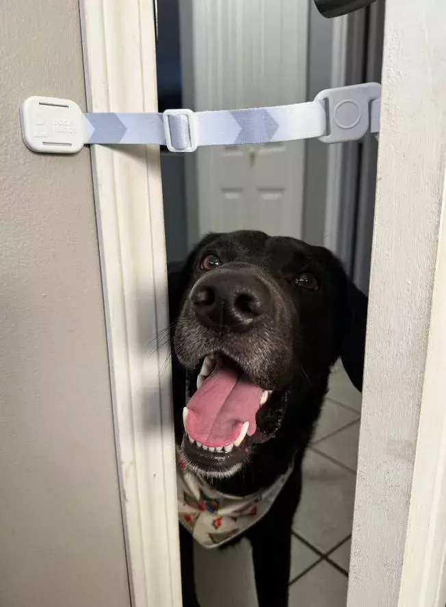 door buddy door strap