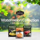 Watermelon Seed Collection - 3 colors of watermelon