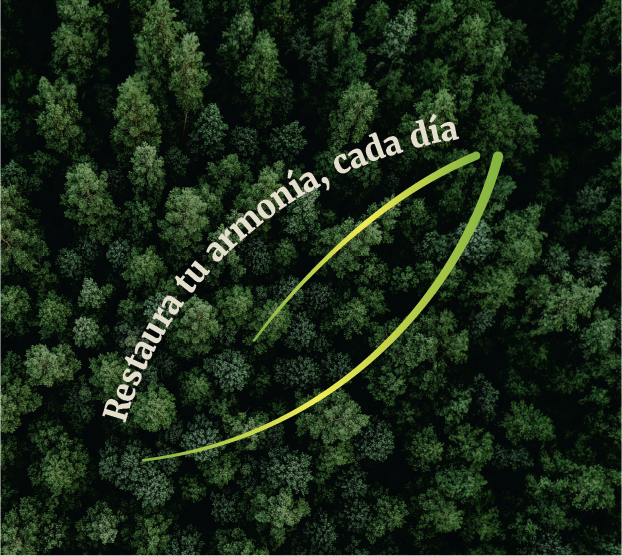 Restore your Harmony everyday