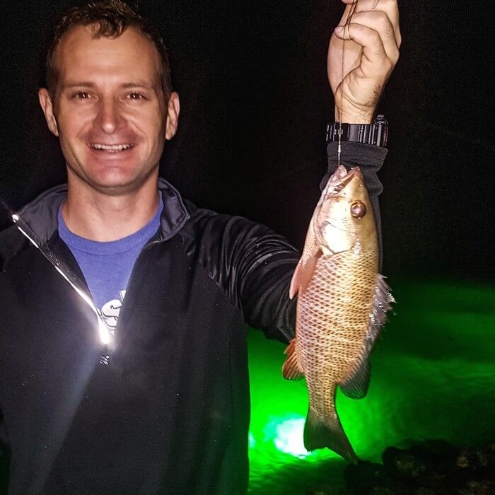 snapper night fishing led light