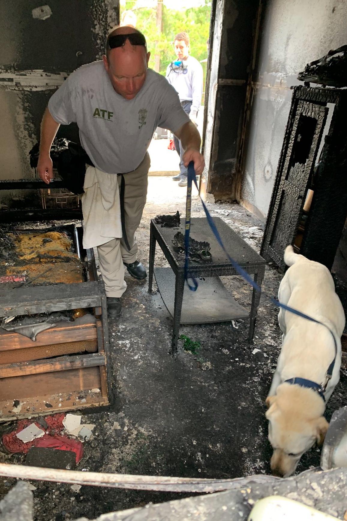k9 harry at a fire scene