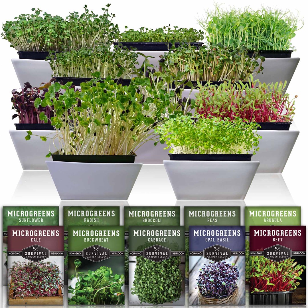 10 pack of microgreen seeds