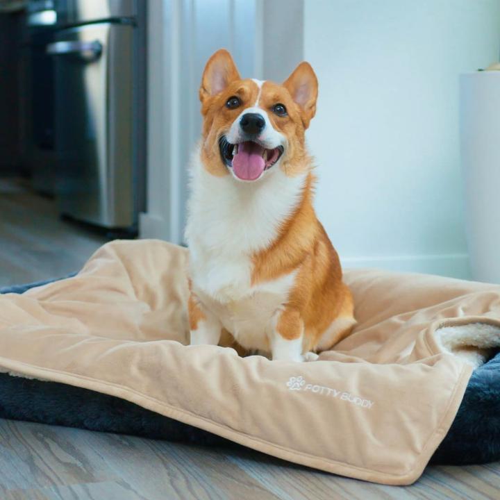 Waterproof pet blankets potty buddy 