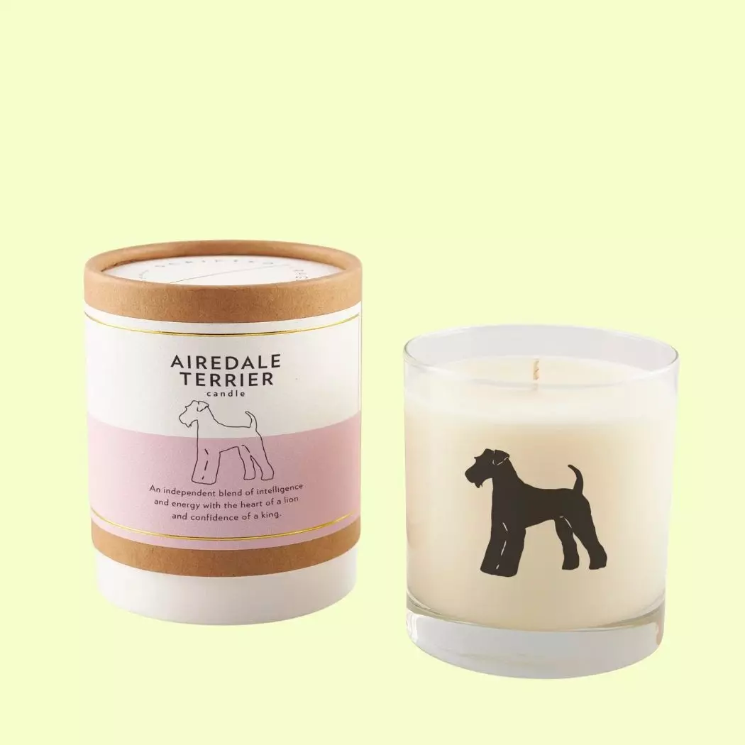 Scripted Fragrance Pet-Inspired Soy Candles
