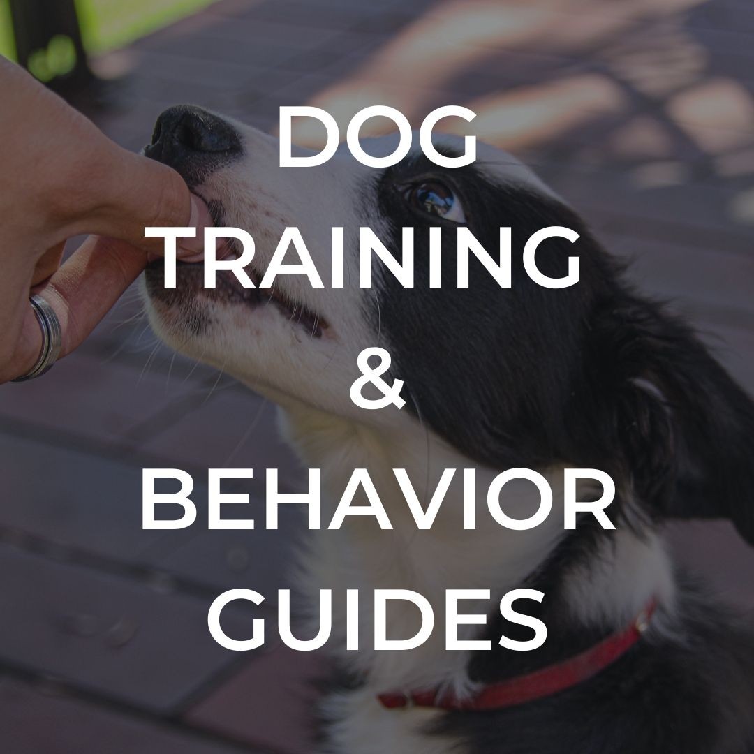 Dog Training and Behaviour Guides