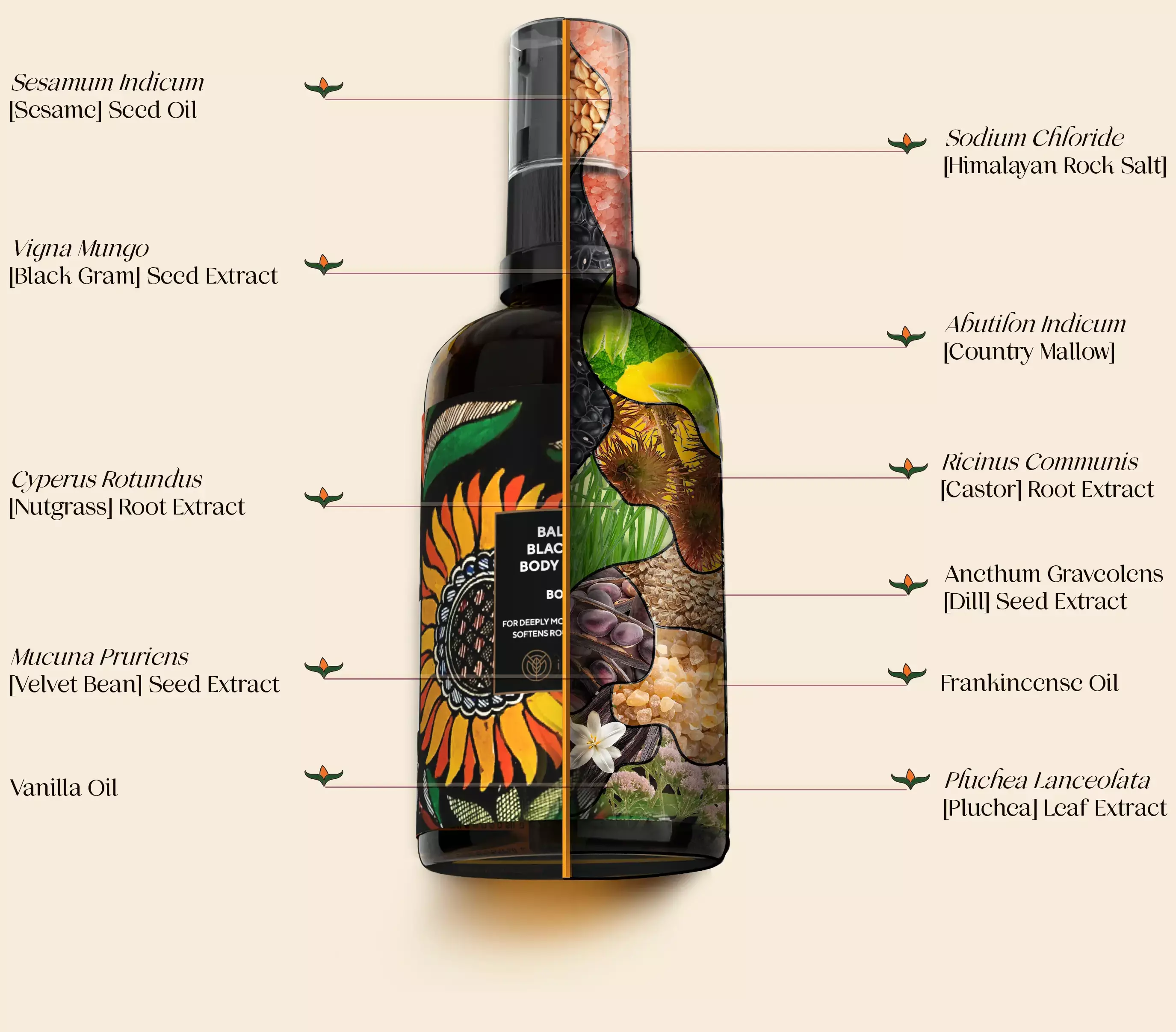 A composition of a bottle of balaayah and it's ingredients with their names