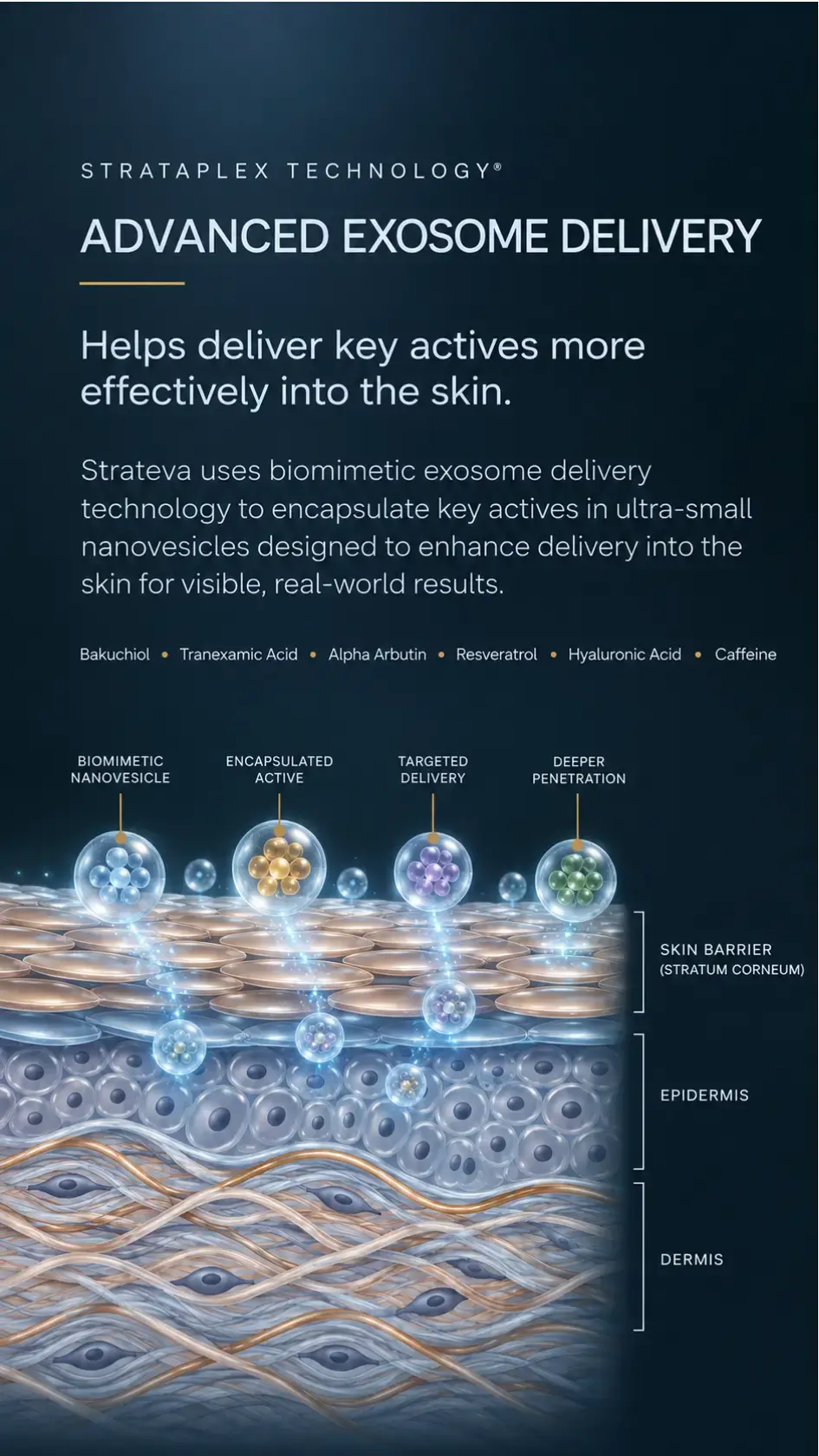 STRATAPLEX TECHNOLOGY® Headline ADVANCED EXOSOME DELIVERY Small line under headline same as locked dark section style Supporting headline Helps deliver key actives more effectively into the skin Supporting text Strateva uses biomimetic exosome delivery technology to encapsulate key actives in ultra-small nanovesicles designed to enhance delivery into the skin.