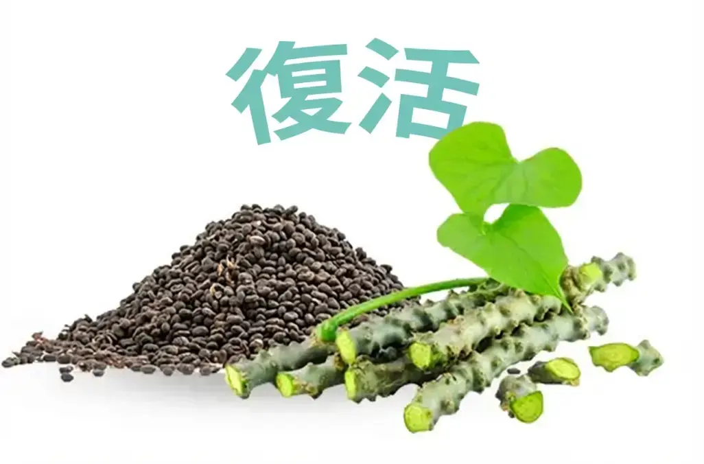 Revive with the combination of Bakuchi & Guduchi