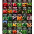 30 Vegetable, Herb and Fruit Seed Packets