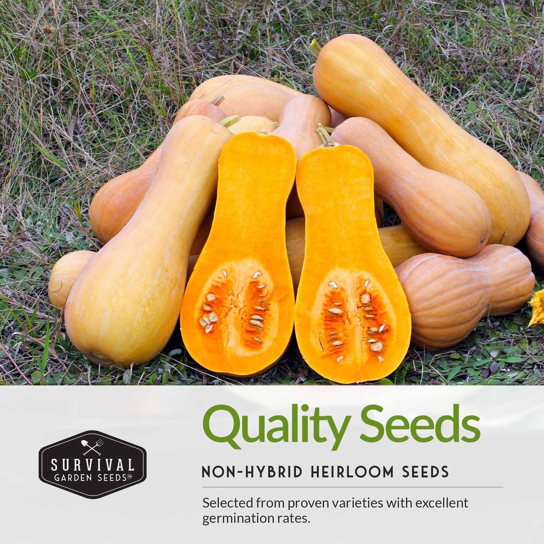 Quality non-hybrid heirloom vegetable seeds with proven germination rates