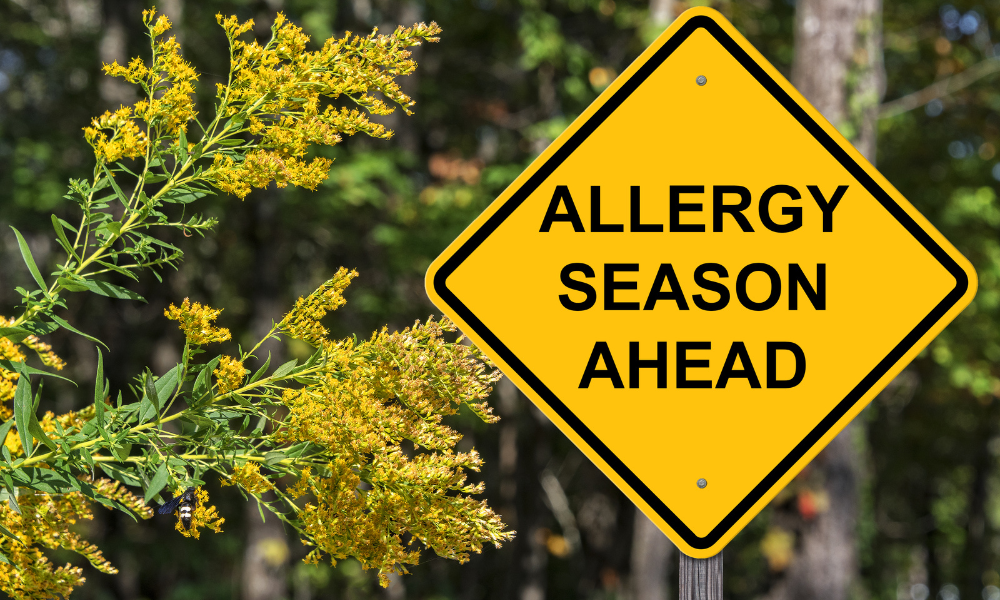 Road sign warning allergy season