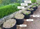 Row of black GeoFelt grow bags along a garden path, planted with strawberries, lettuce, herbs and leafy greens, mulched with straw beside a stone retaining wall.