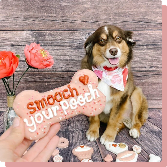 Plan The Perfect Dog Valentine's Day In | At Home Valentine's Day Ideas