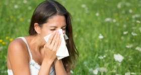 alergije i trave