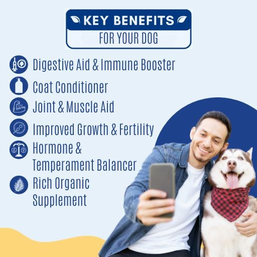 Selvita Canine Key Benefits 2