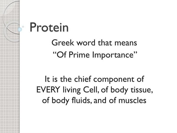 Protein Definition Prime Importance