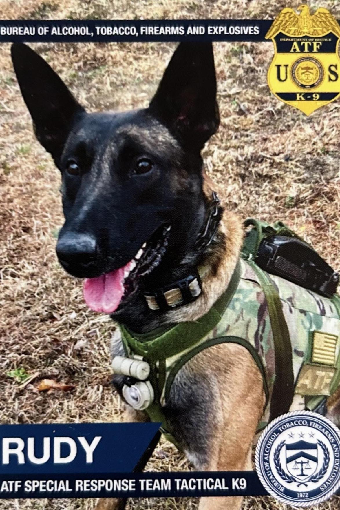 k9 rudy