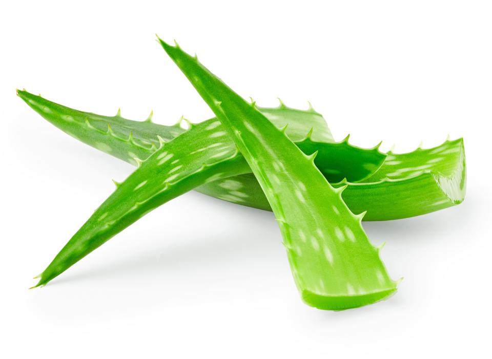 Aloe Vera extract