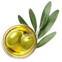 Olea Europaea (Olive) Fruit Oil