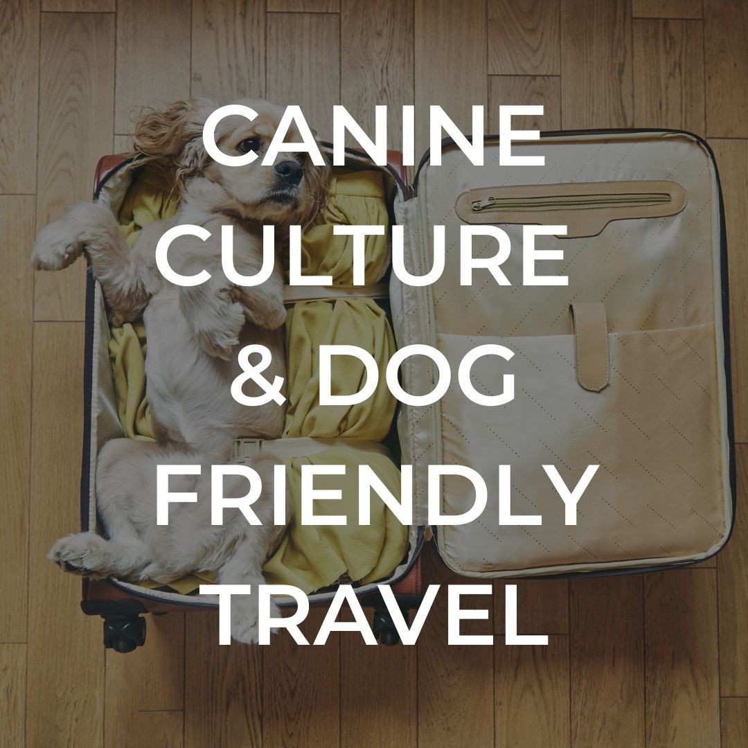 Canine Culture and Dog Friendly Travel