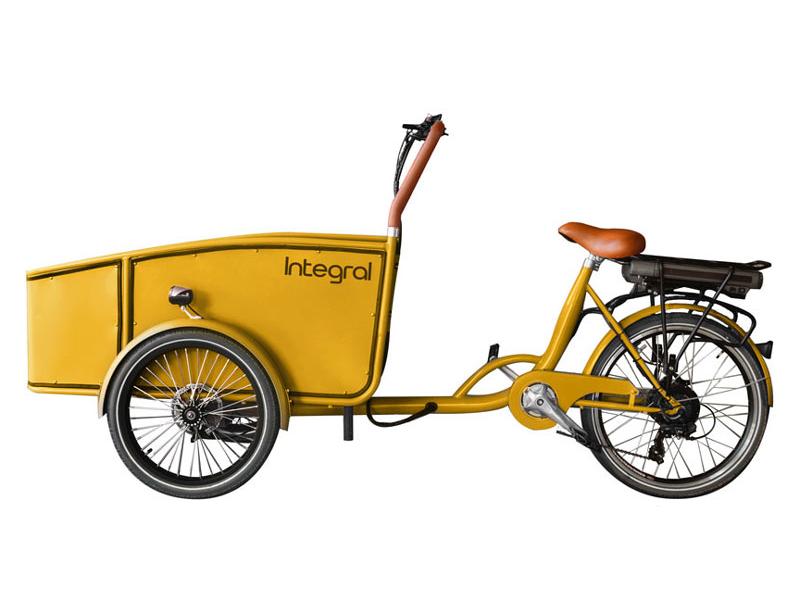 Roam Cargo E-Bike