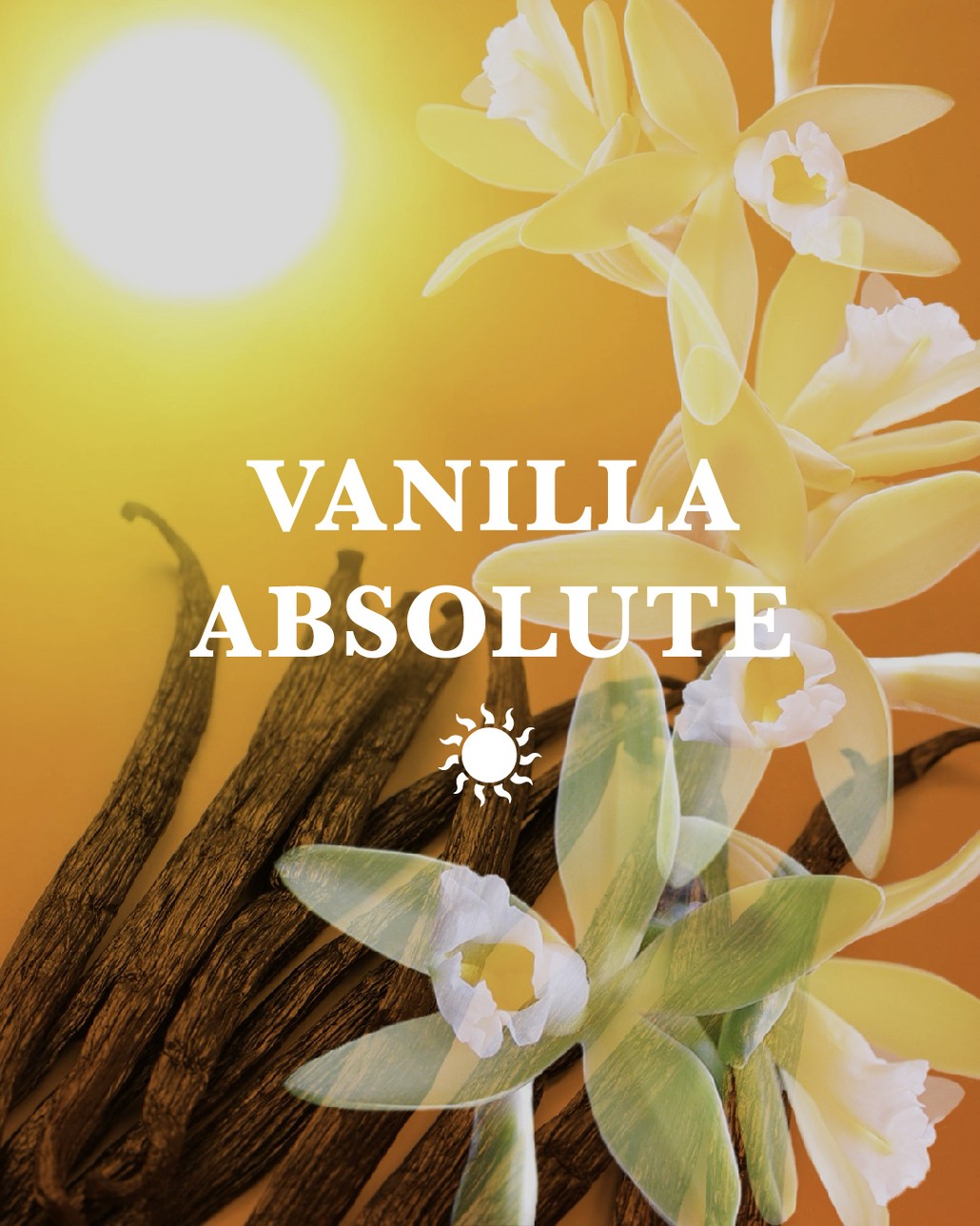 Vanilla Absolute Madagascar Oil LMR